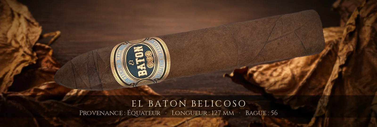 El Baton Belicoso — El Baton — Équateur