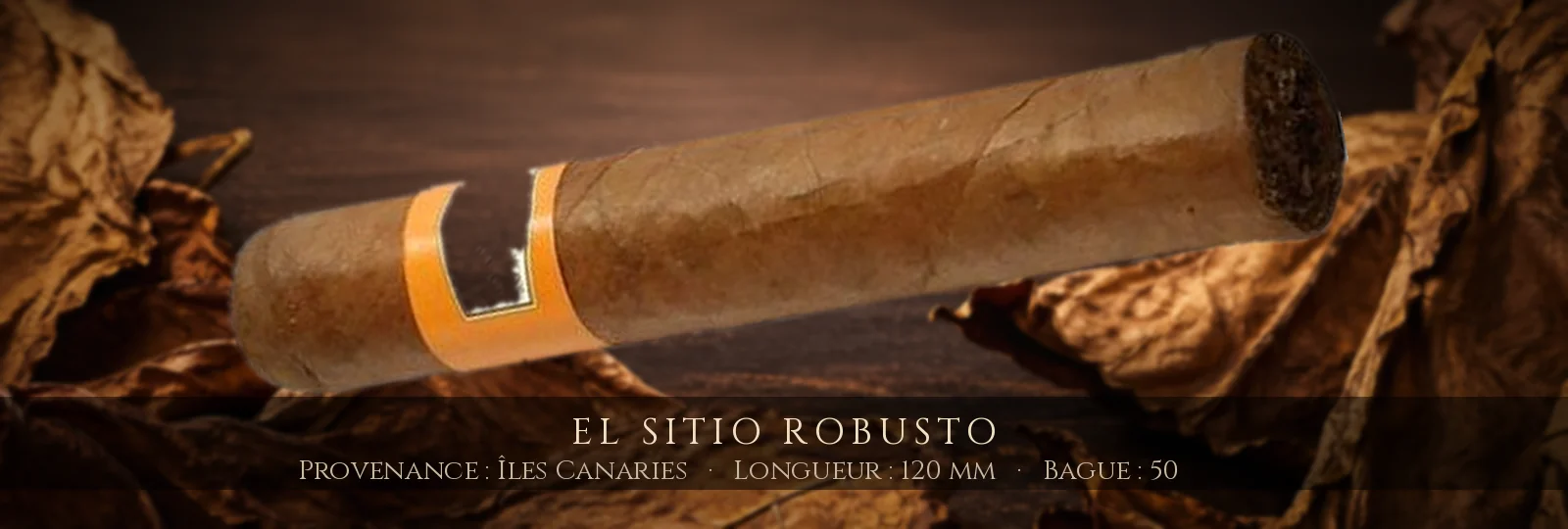 El Sitio Robusto