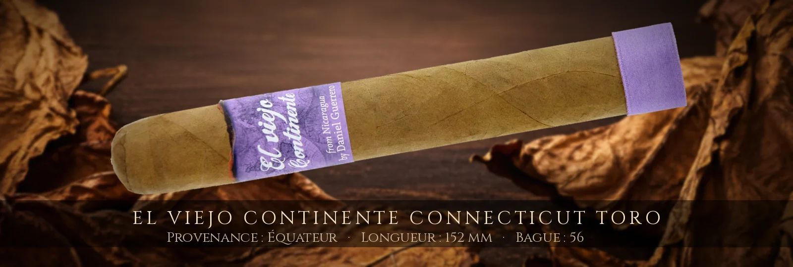 El Viejo Continente Connecticut Toro — El Viejo Continente — Équateur