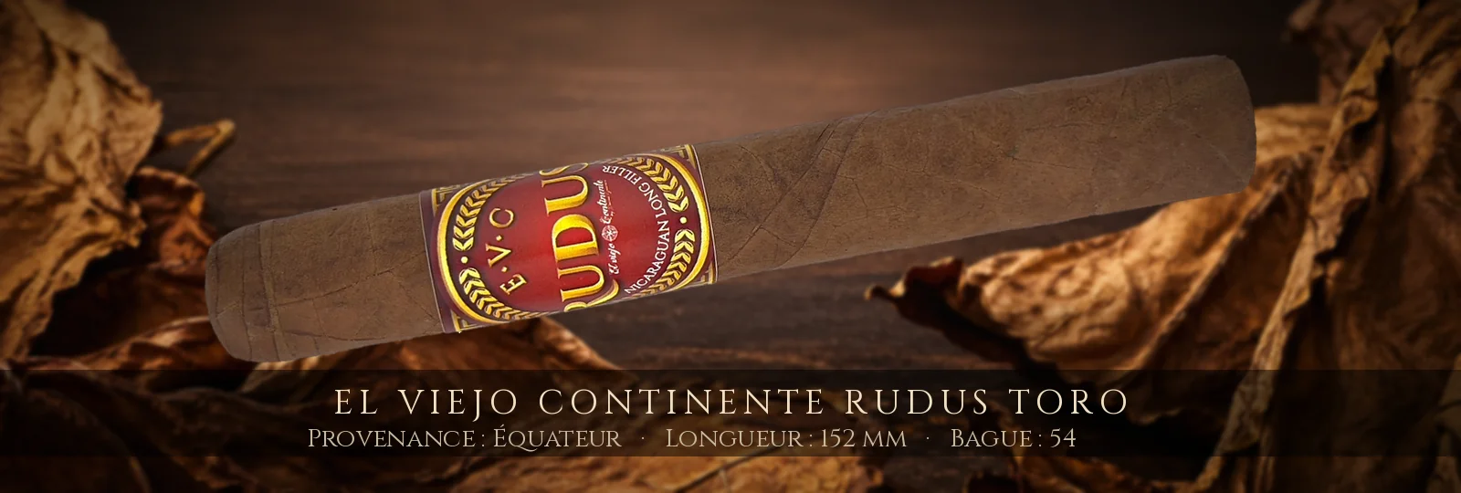 El Viejo Continente Rudus Toro — El Viejo Continente — Équateur