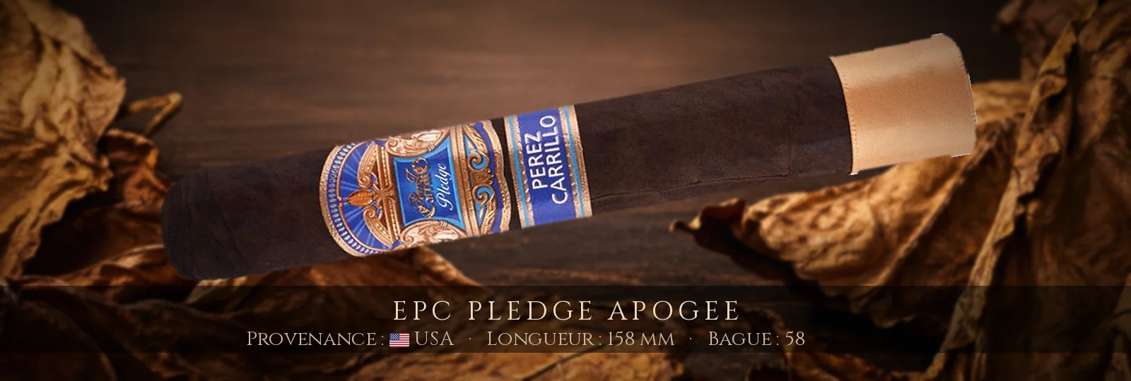 EPC Pledge Apogee — EPC — USA