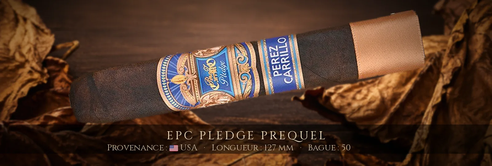 EPC Pledge Prequel — EPC — USA