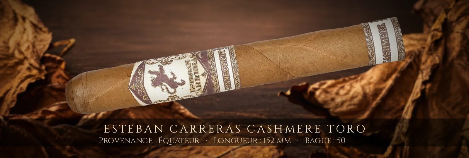 Esteban Carreras Cashmere Toro — Esteban Carreras — Équateur