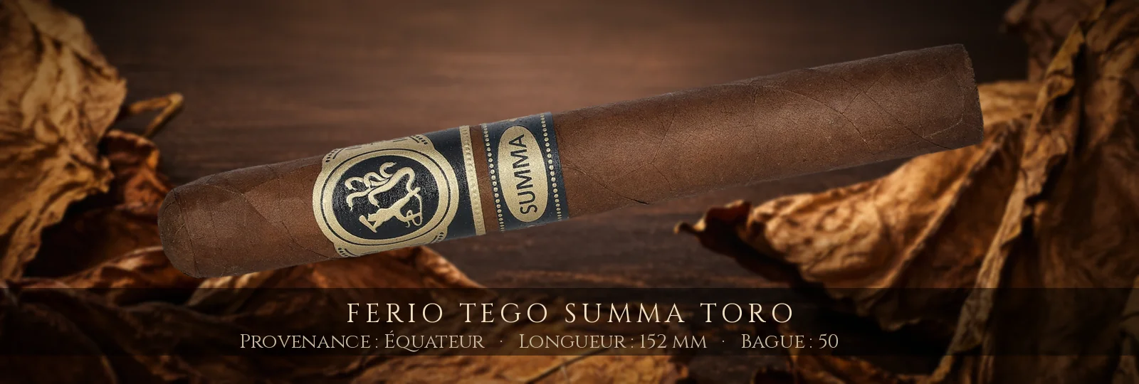 Ferio Tego Summa Toro — Ferio Tego — Équateur
