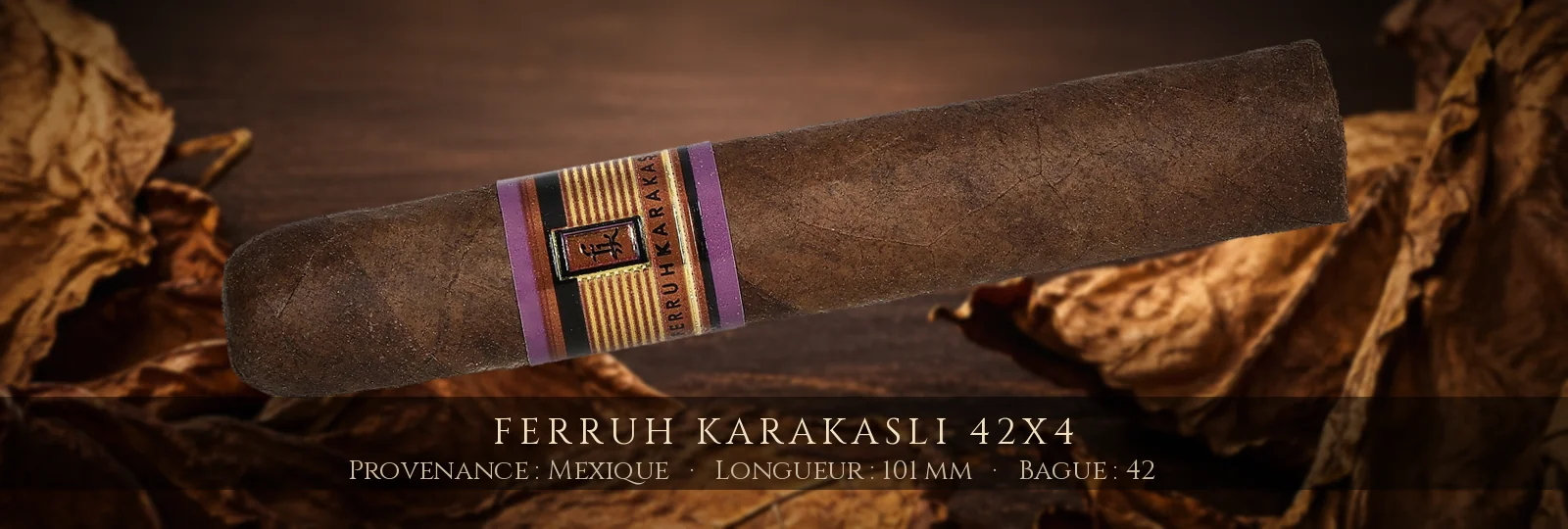 Ferruh Karakasli 42x4 — Ferruh Karakasli — Mexique