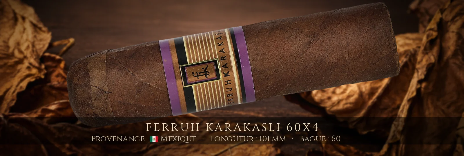 Ferruh Karakasli 60x4 — Ferruh Karakasli — Mexique