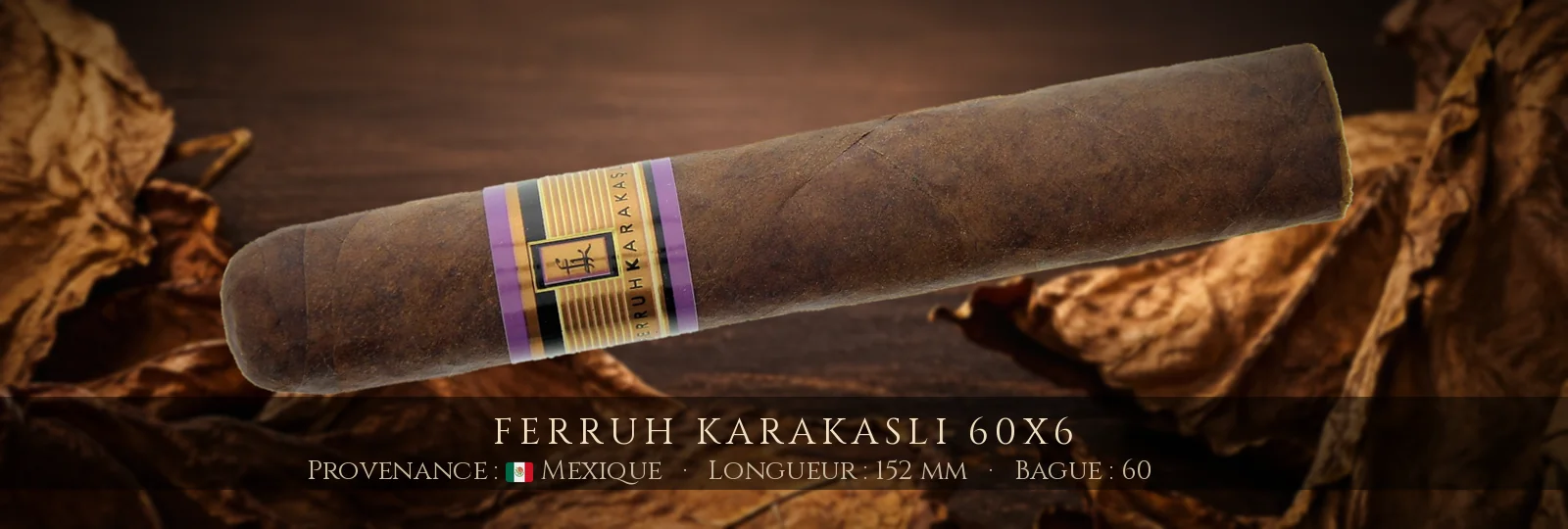 Ferruh Karakasli 60x6 — Ferruh Karakasli — Mexique