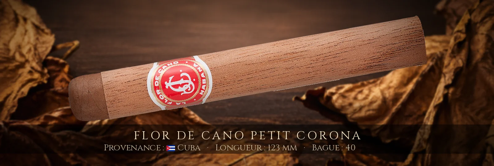 Flor de Cano Petit Corona — Flor de Cano — Cuba