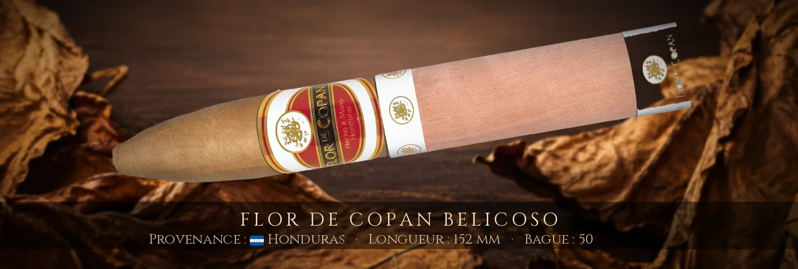 Flor de Copan Belicoso