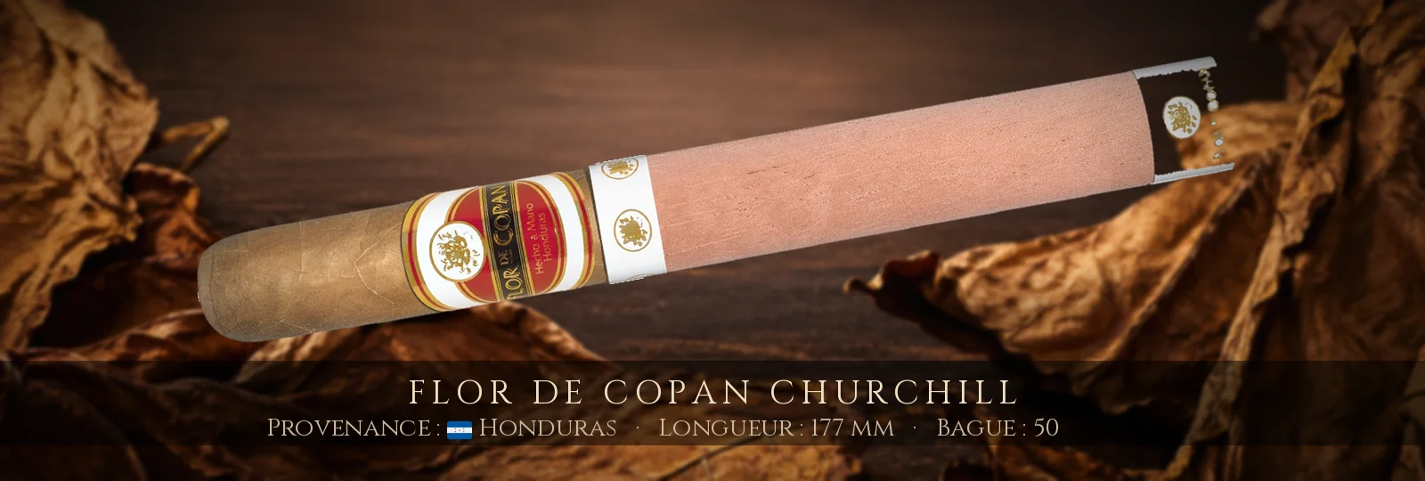 Flor de Copan Churchill