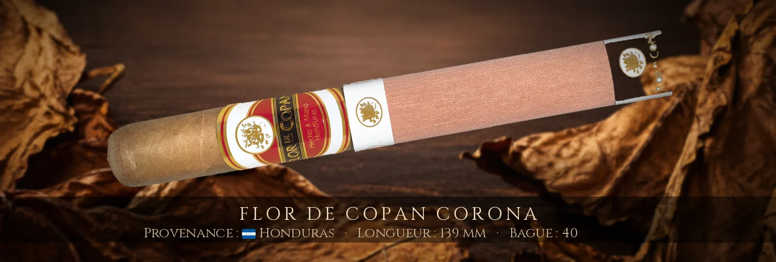 Flor de Copan Corona