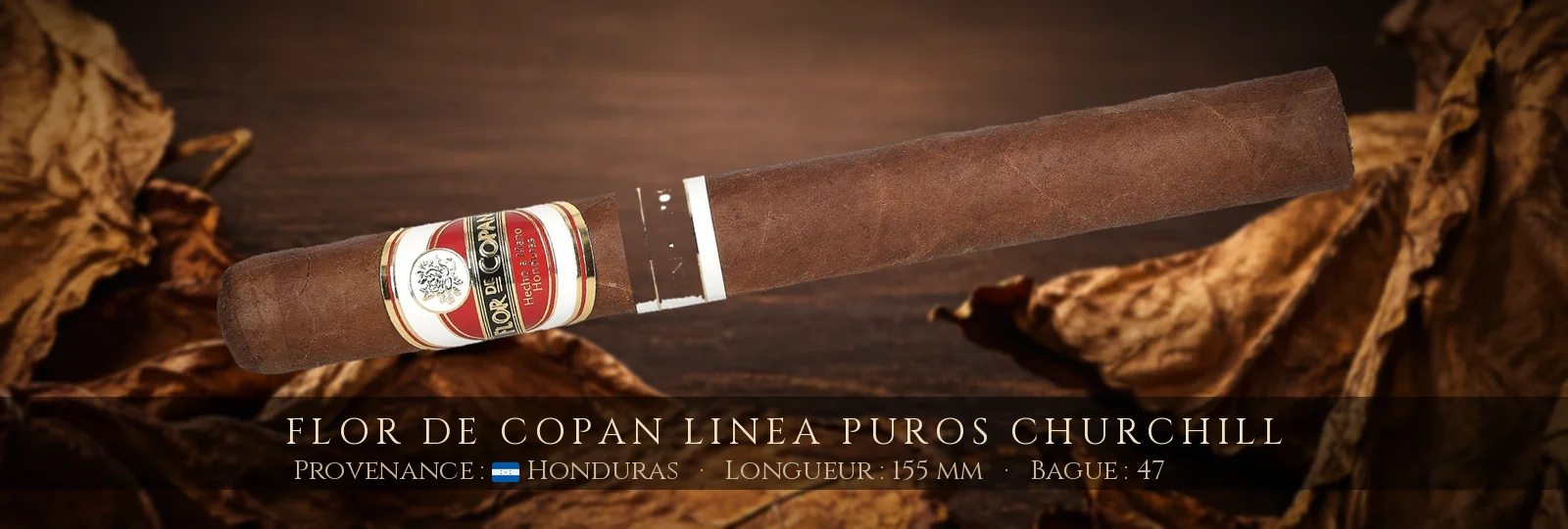 Flor de Copan Linea Puros Churchill