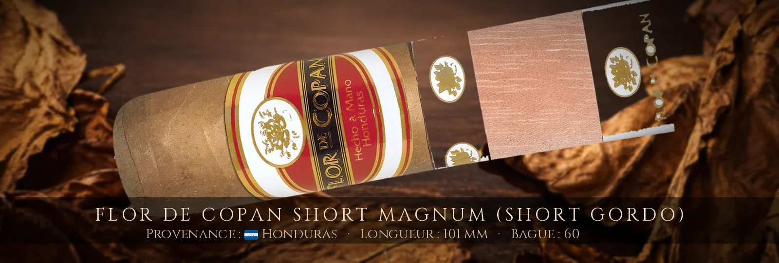 Flor de Copan Short Magnum (Short Gordo) — Flor de Copan — Honduras