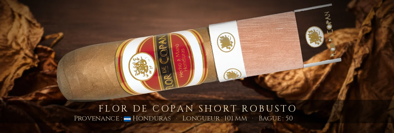 Flor de Copan Short Robusto — Flor de Copan — Honduras
