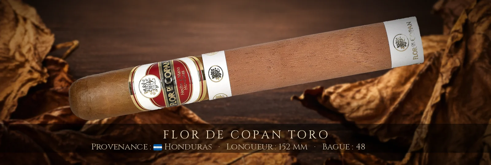 Flor de Copan Toro