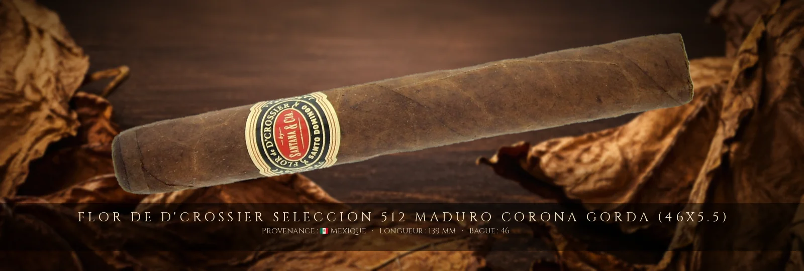 Flor de D'Crossier Seleccion 512 Maduro Corona Gorda (46x5.5) — Flor de D'Crossier — Mexique