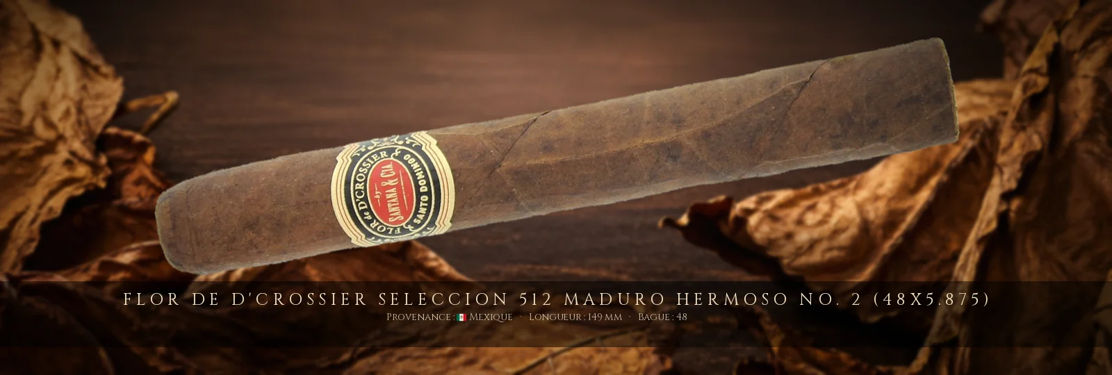 Flor de D'Crossier Seleccion 512 Maduro Hermoso No. 2 (48x5.875) — Flor de D'Crossier — Mexique