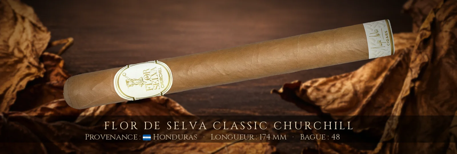 Flor de Selva Classic Churchill