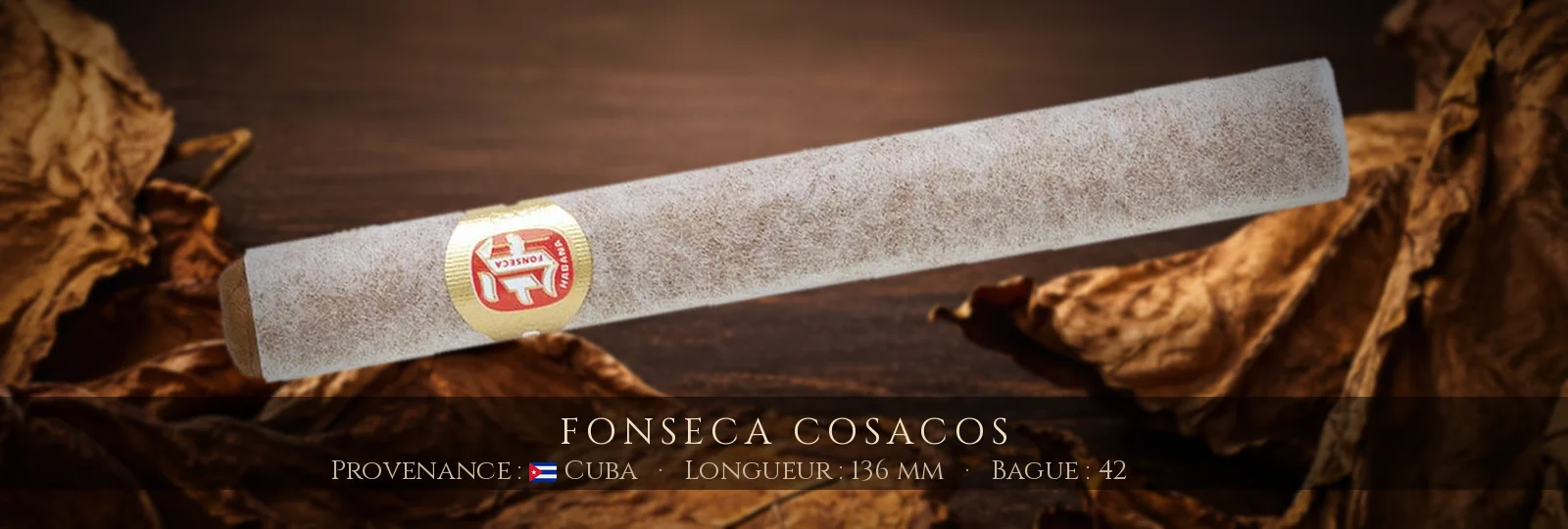Fonseca Cosacos — Fonseca — Cuba