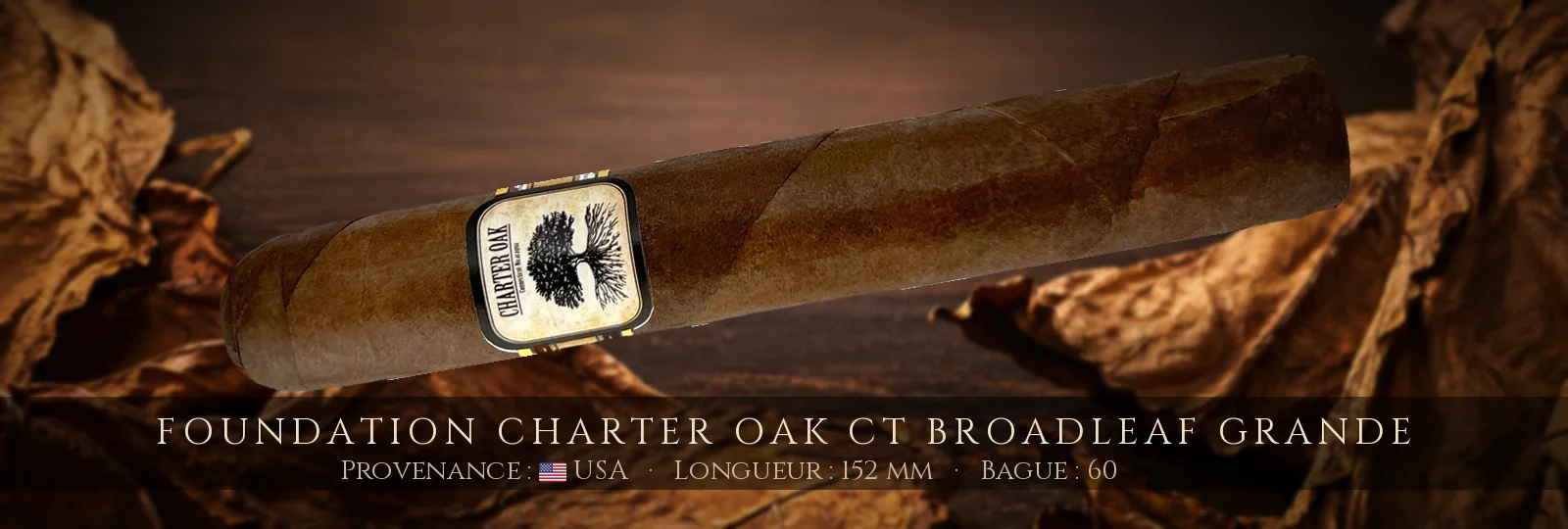Foundation Charter Oak CT Broadleaf Grande