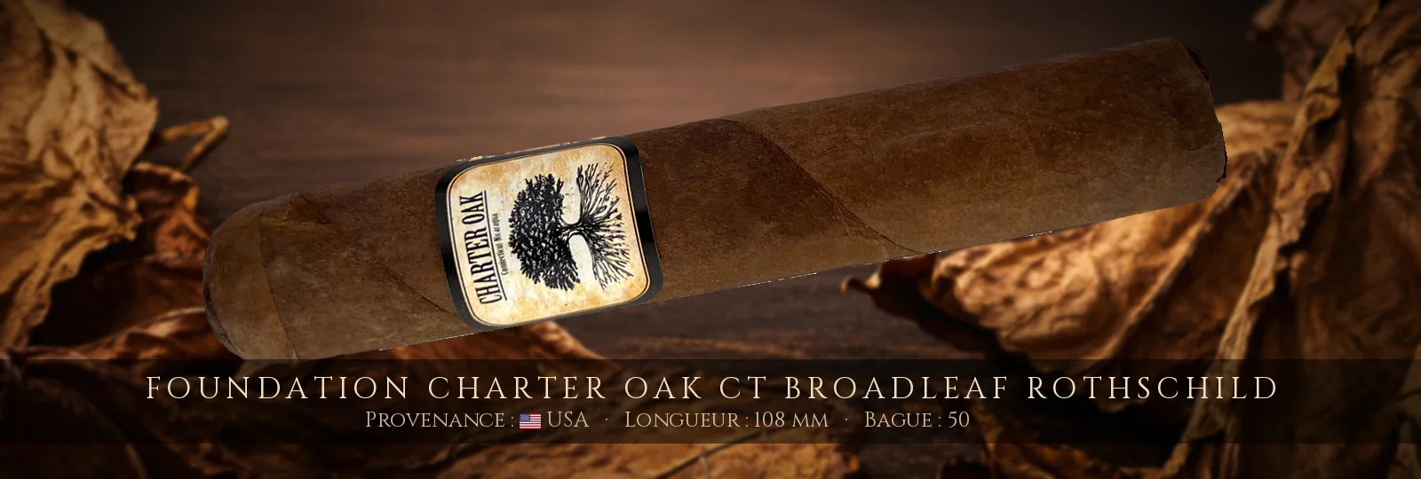 Foundation Charter Oak CT Broadleaf Rothschild