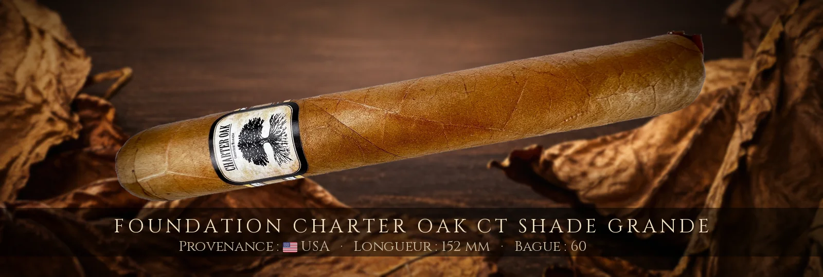Foundation Charter Oak CT Shade Grande — Foundation — USA
