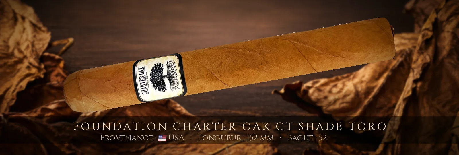 Foundation Charter Oak CT Shade Toro — Foundation — USA