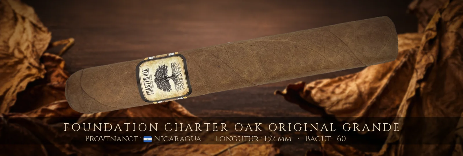 Foundation Charter Oak Original Grande — Foundation — Nicaragua