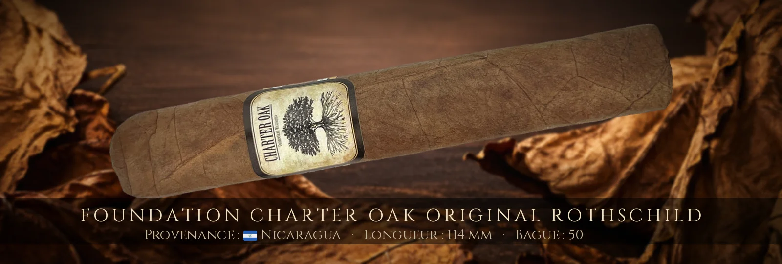 Foundation Charter Oak Original Rothschild — Foundation — Nicaragua
