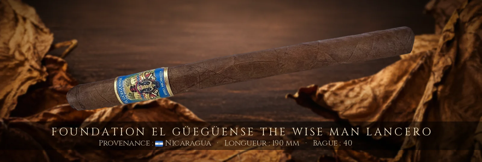 Foundation El Güegüense The Wise Man Lancero — Foundation — Nicaragua