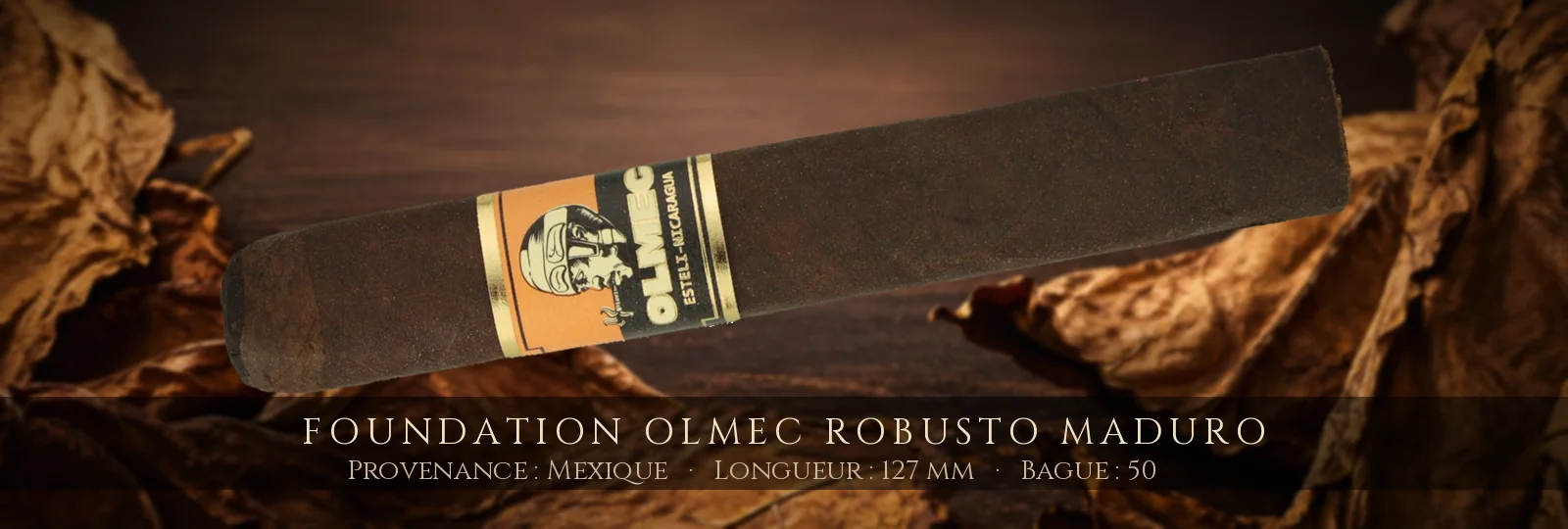 Foundation Olmec Robusto Maduro — Foundation — Mexique