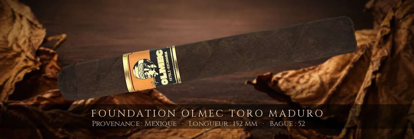 Foundation Olmec Toro Maduro — Foundation — Mexique