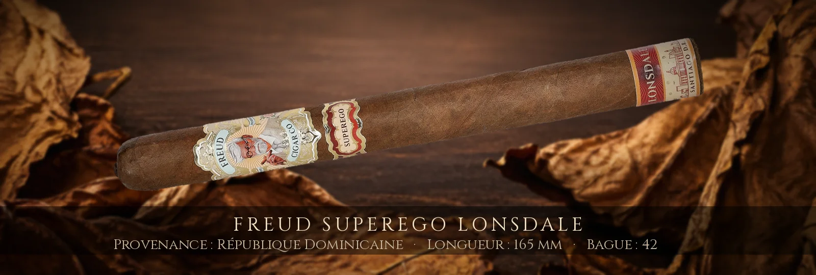 Freud Superego Lonsdale — Freud — République Dominicaine