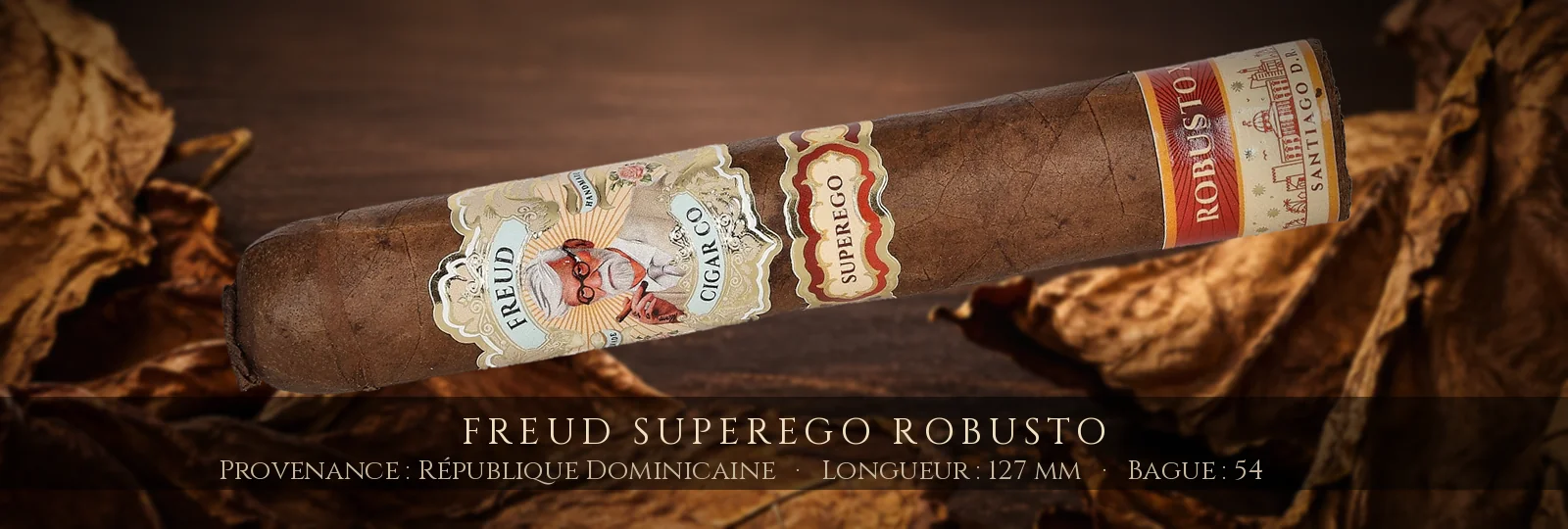 Freud Superego Robusto — Freud — République Dominicaine