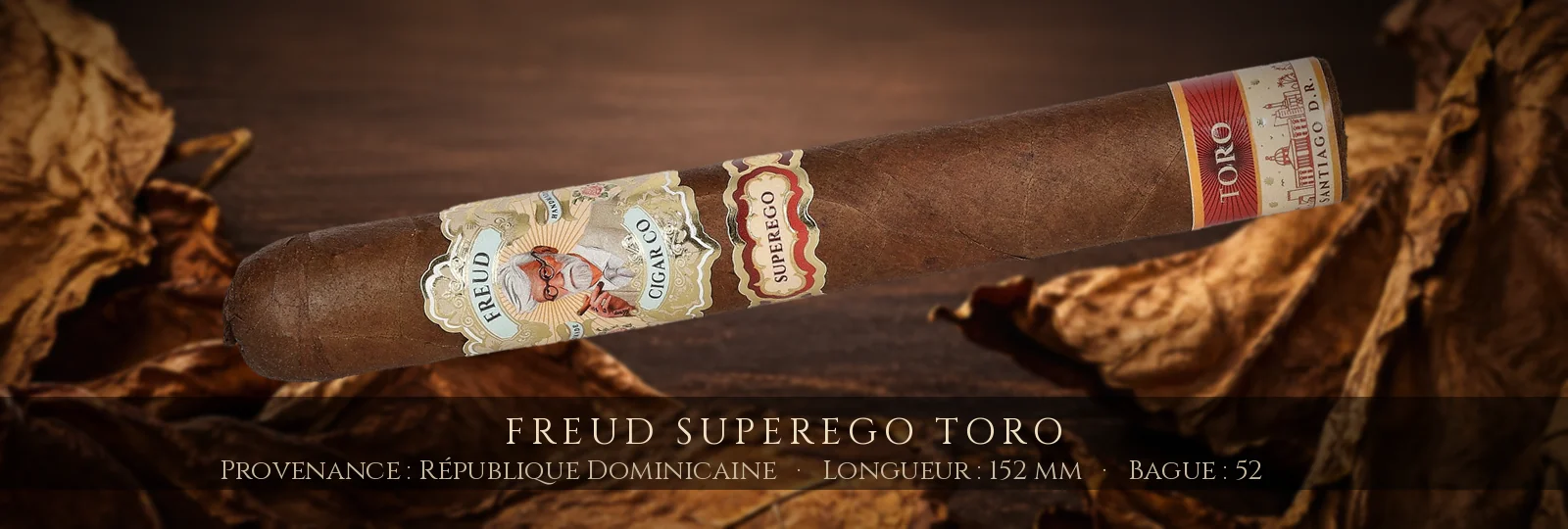 Freud Superego Toro — Freud — République Dominicaine