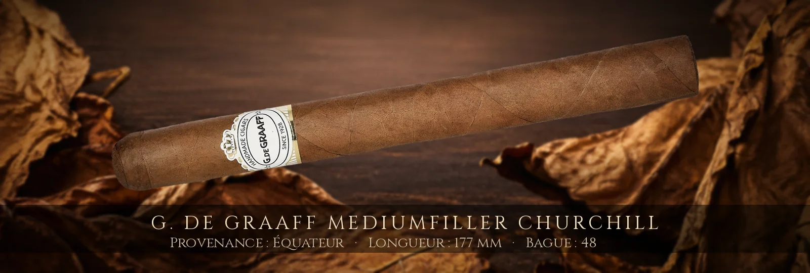 G. De Graaff mediumfiller Churchill — G. De Graaff — Équateur