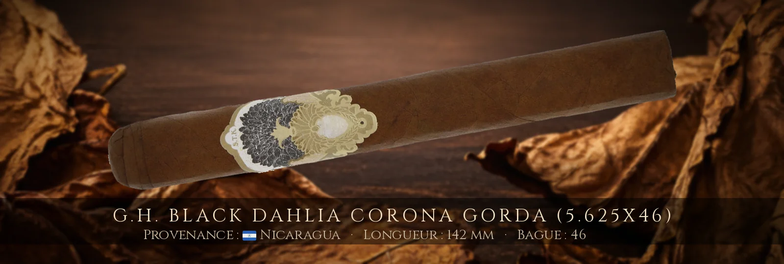 G.H. Black Dahlia Corona Gorda (5.625x46) — G.H. — Nicaragua