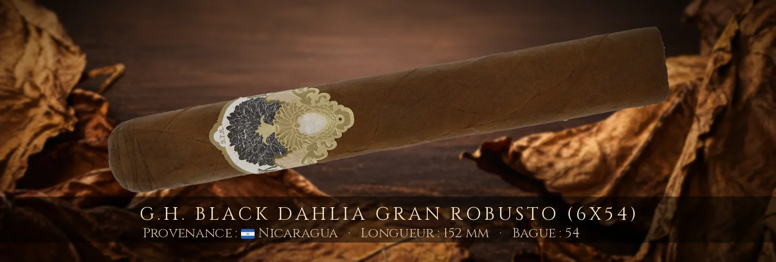 G.H. Black Dahlia Gran Robusto (6x54) — G.H. — Nicaragua