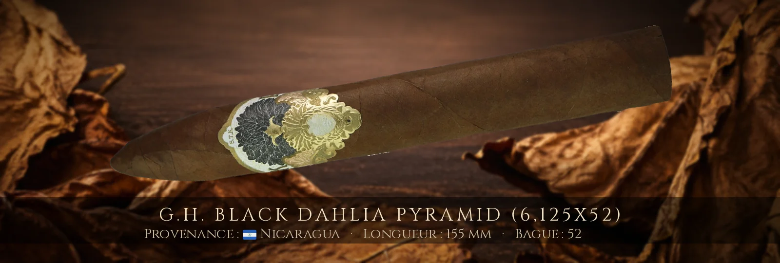 G.H. Black Dahlia Pyramid (6,125x52) — G.H. — Nicaragua