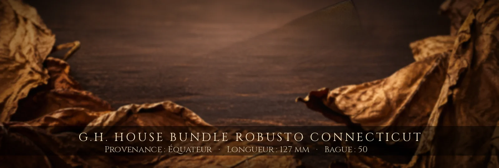G.H. House Bundle Robusto Connecticut — G.H. — Équateur