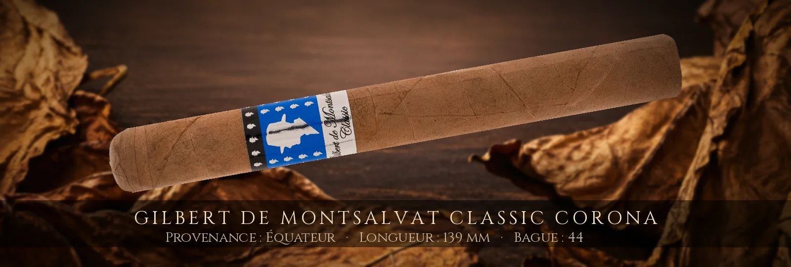 Gilbert de Montsalvat Classic Corona — Gilbert de Montsalvat — Équateur