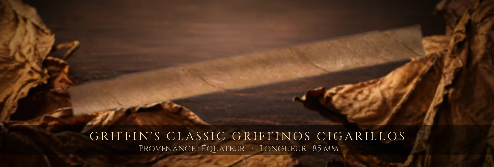 Griffin's Classic Griffinos Cigarillos — Griffin's — Équateur