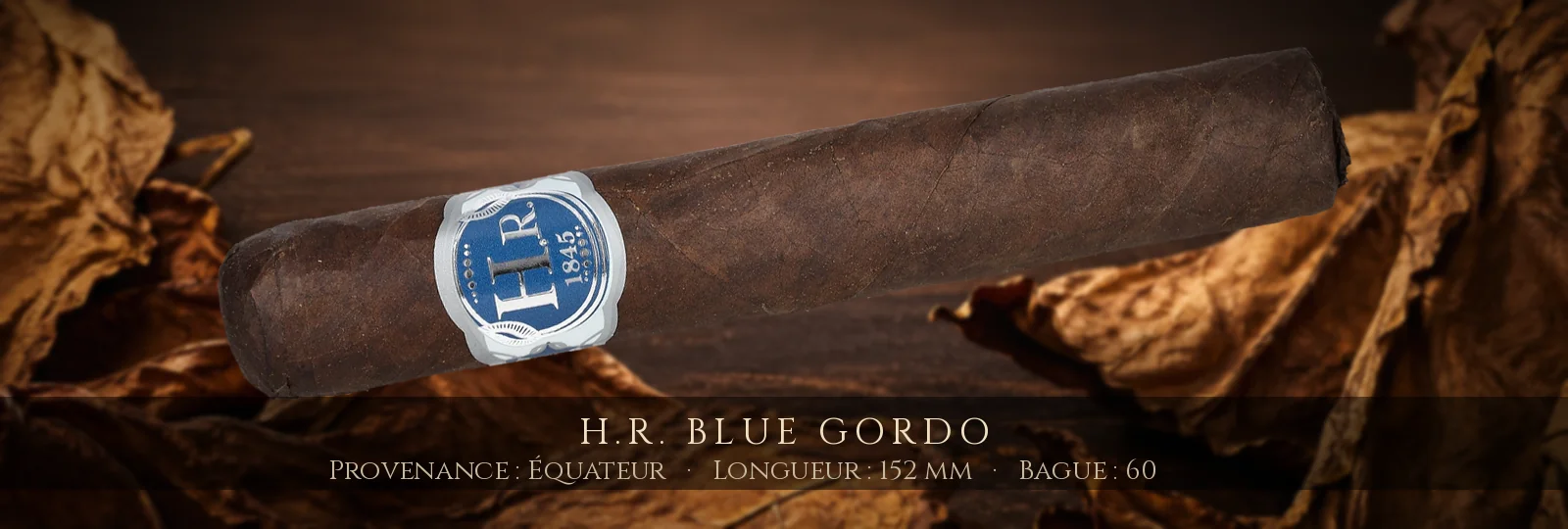 H.R. Blue Gordo — H.R. — Équateur
