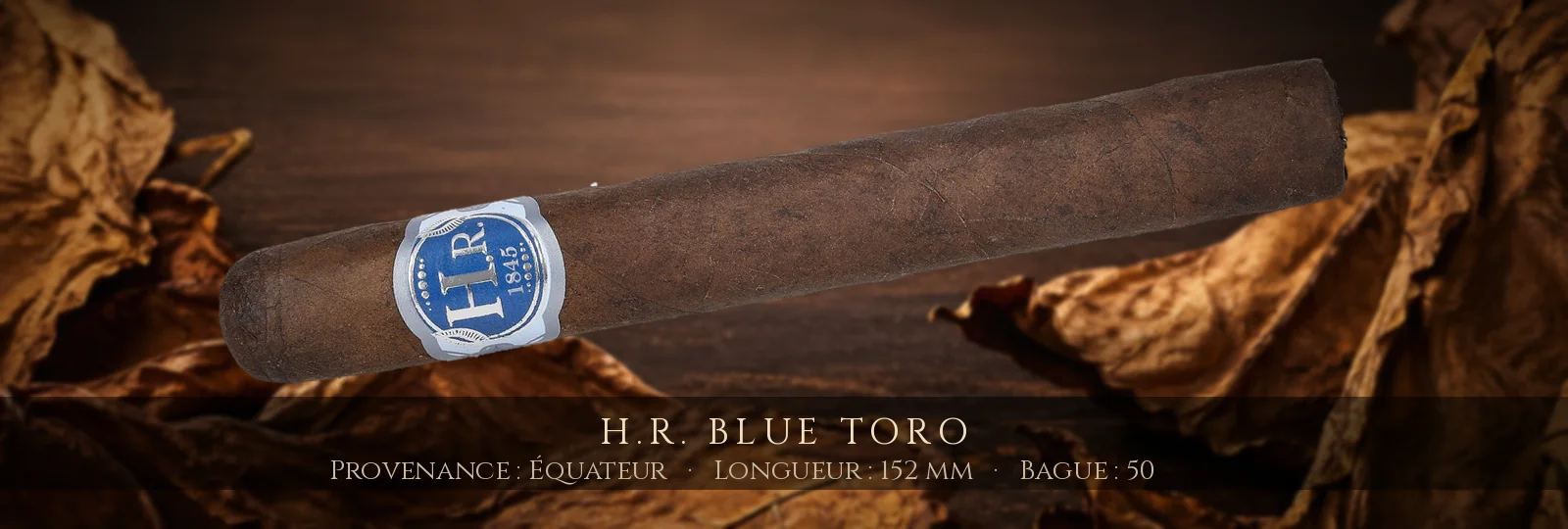 H.R. Blue Toro — H.R. — Équateur