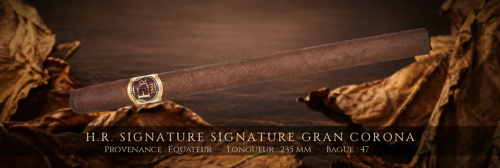H.R. Signature Signature Gran Corona — H.R. — Équateur