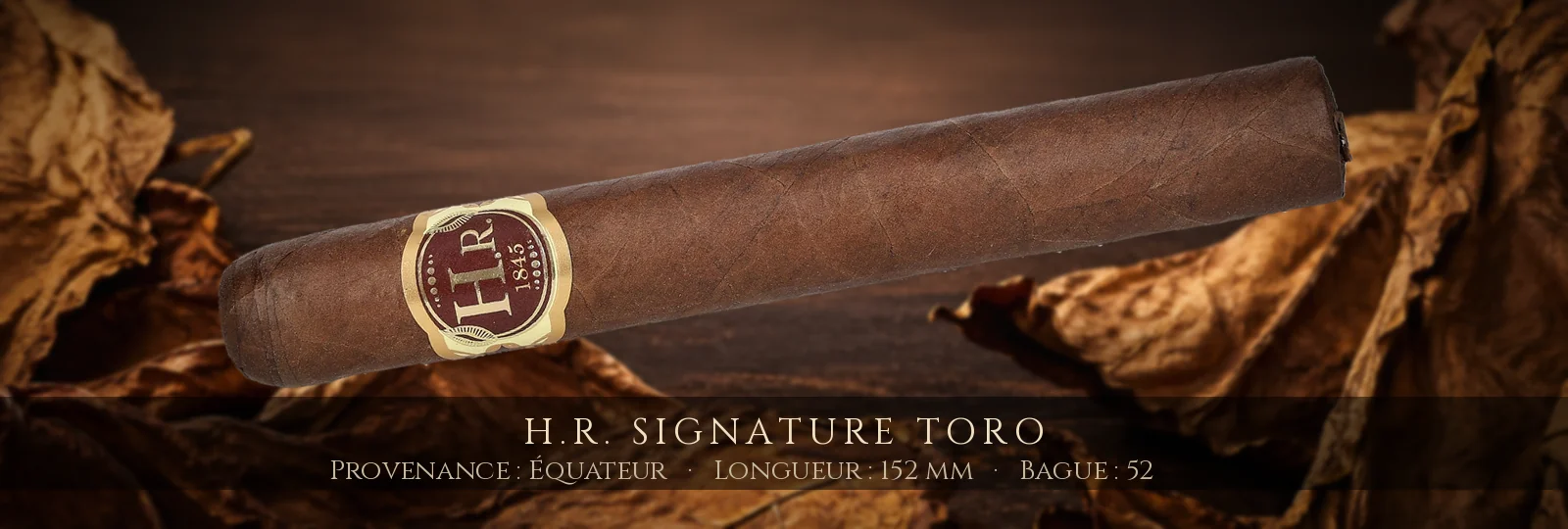H.R. Signature Toro — H.R. — Équateur