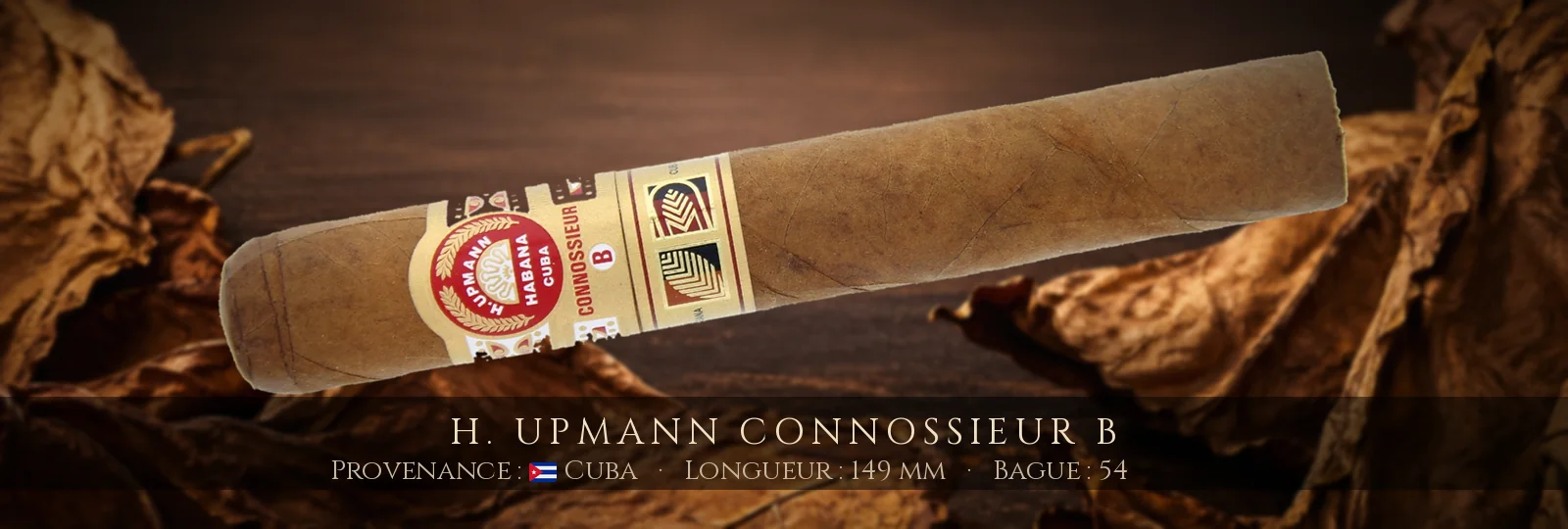 H. Upmann Connossieur B — H. Upmann — Cuba