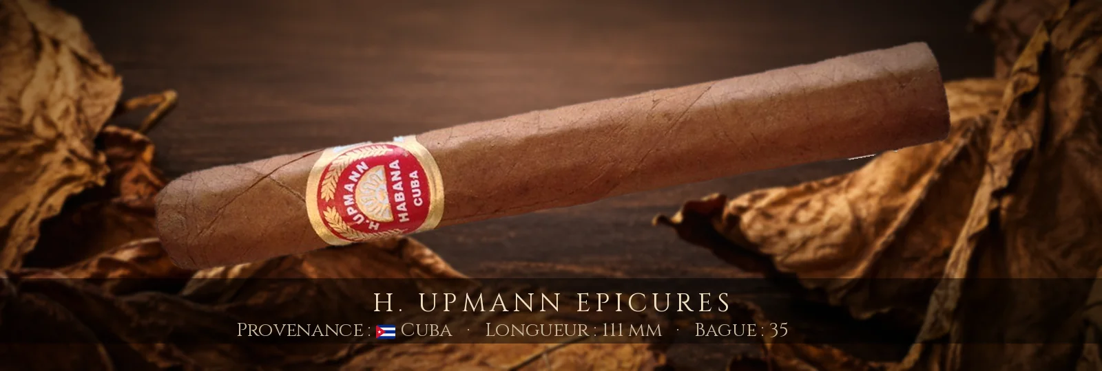 H. Upmann Epicures — H. Upmann — Cuba