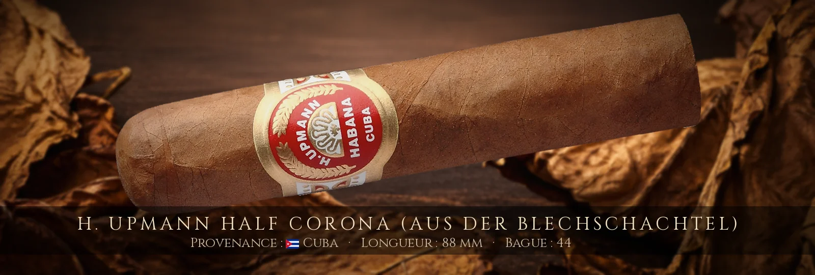 H. Upmann Half Corona (aus der Blechschachtel) — H. Upmann — Cuba