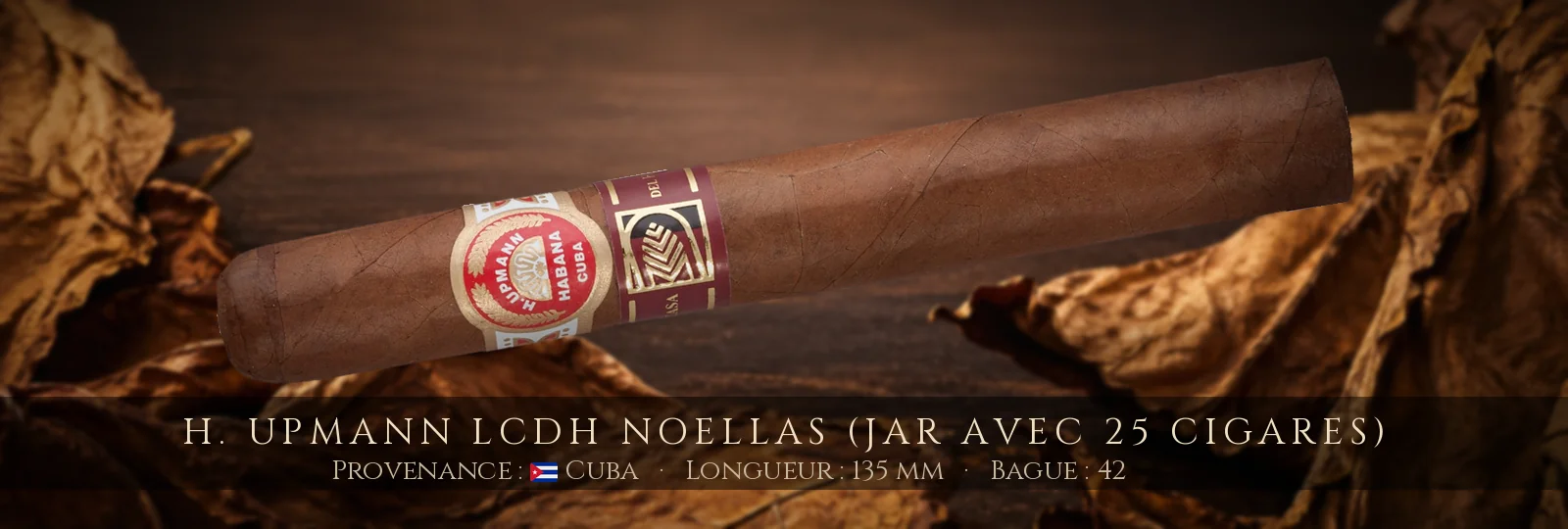 H. Upmann LCDH Noellas (Jar avec 25 cigares) — H. Upmann — Cuba